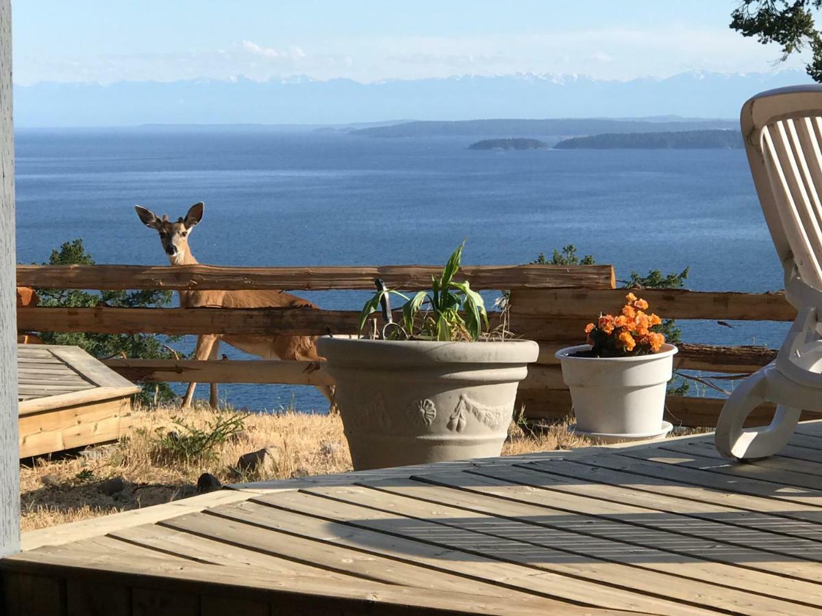 Shangri-La Oceanfront Vacation Home Bedwell Harbour Eksteriør bilde